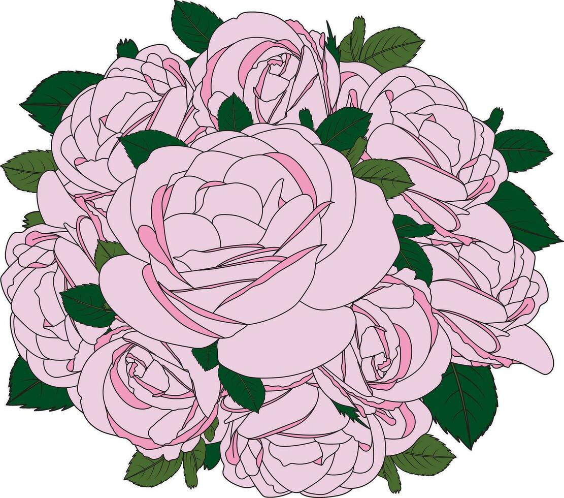 ilustración ramo de flores de rosado Rosa flor con hojas. vector