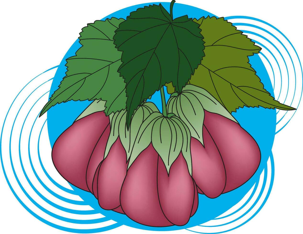 Illustration of Abutilon pictum flower with leaves on blue circle background. vector