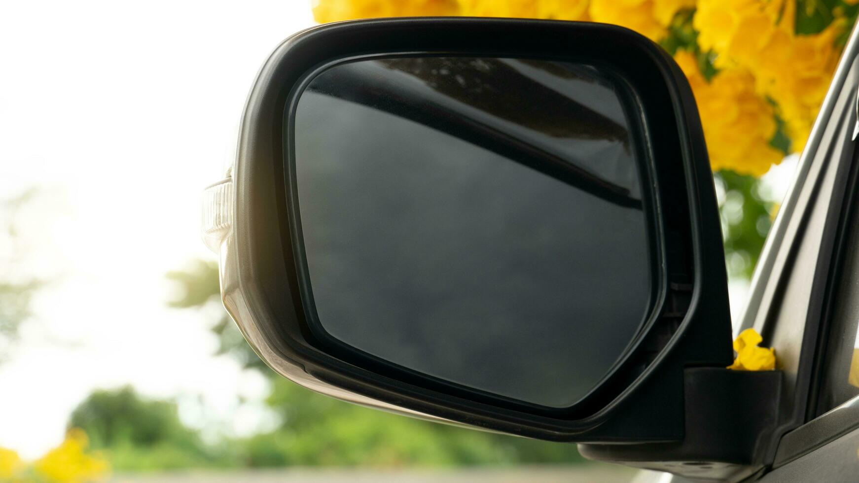 Mirror wing of car parking under of yellow elder in the breeze with sunlight. photo