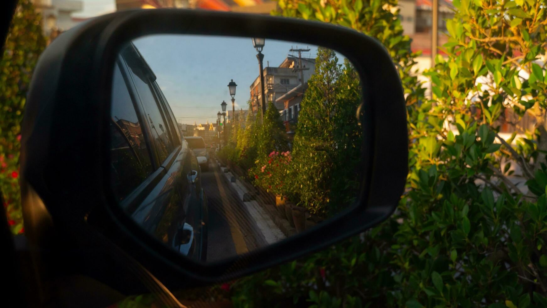 Mirror wing with beside of car in the glass. With other cars line up from the back. Traffic in the city with trees flower beside. photo