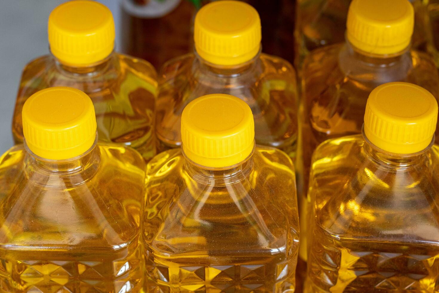 row of cooking oil in bottles photo