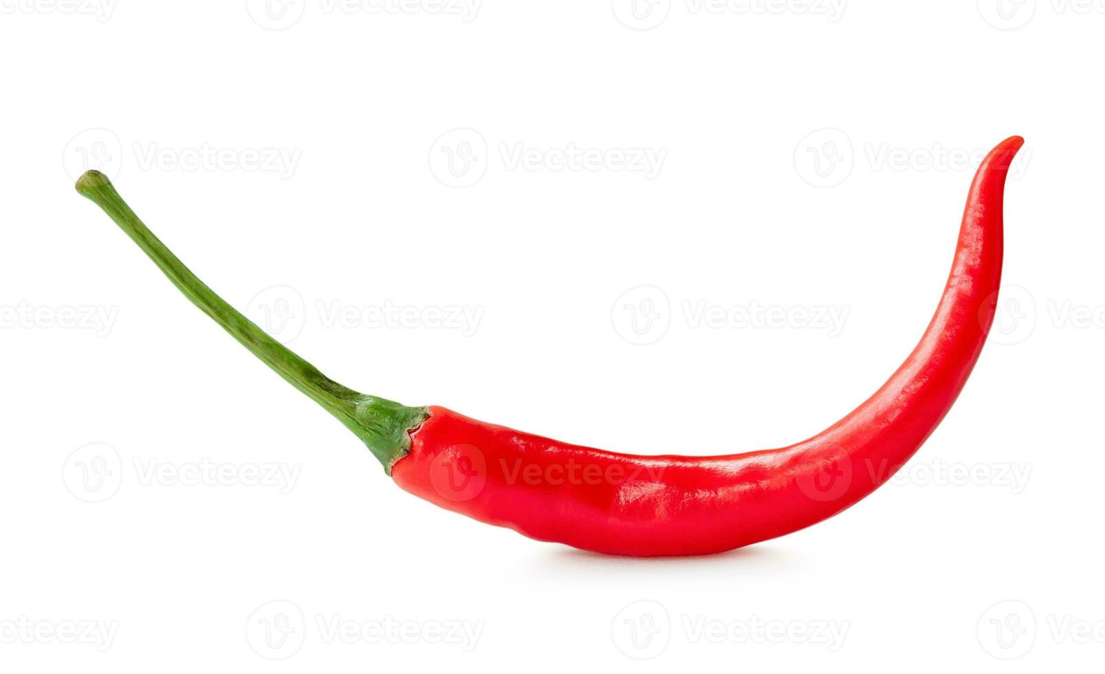 Single fresh red chili pepper isolated on white background with clipping path. Front view and flat lay of curved red chili photo