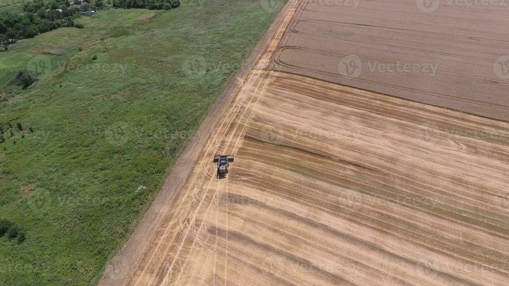 Harvesting barley harvesters. Fields of wheat and barley, the work of agricultural machinery. photo