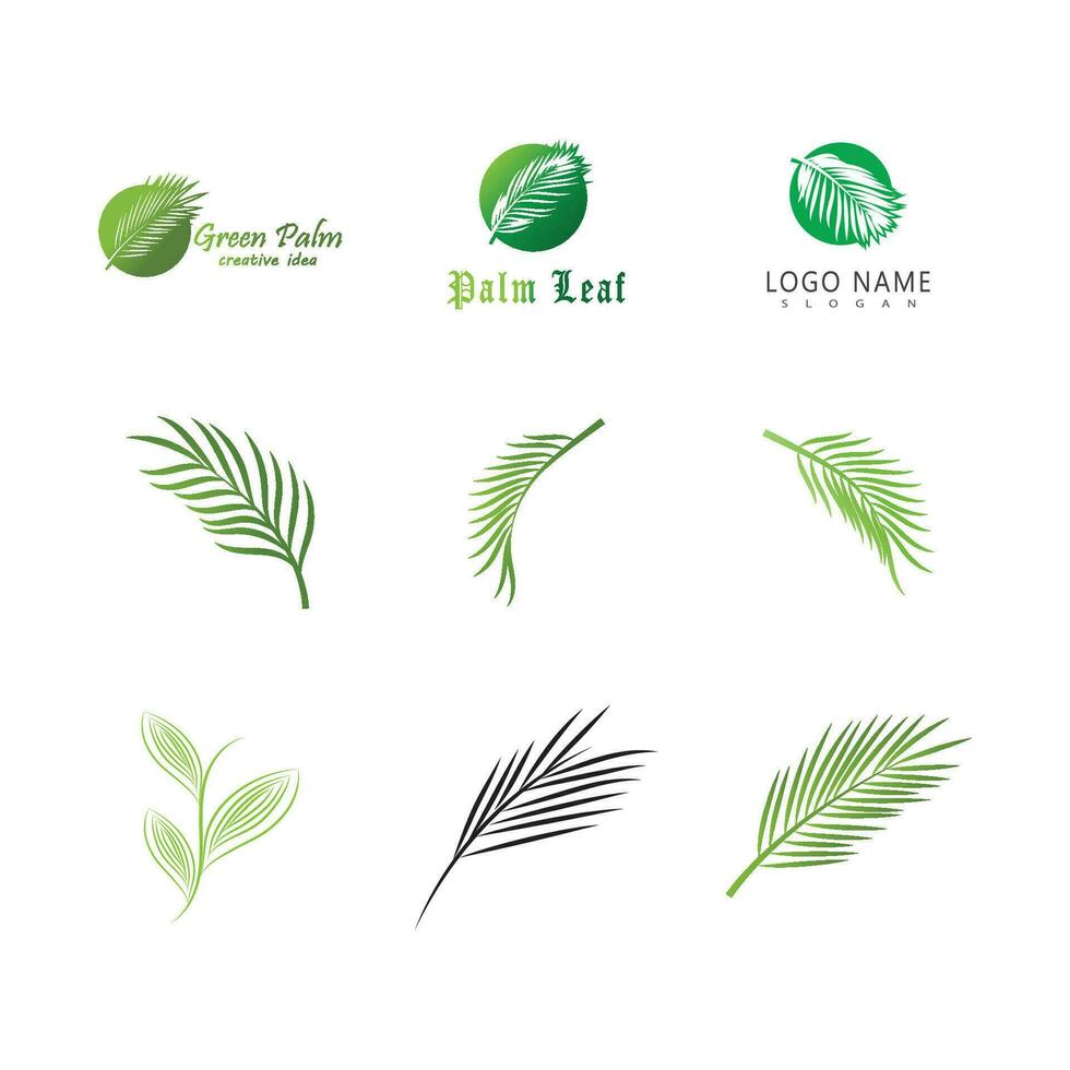 Leaf palm logo vector template symbol and design