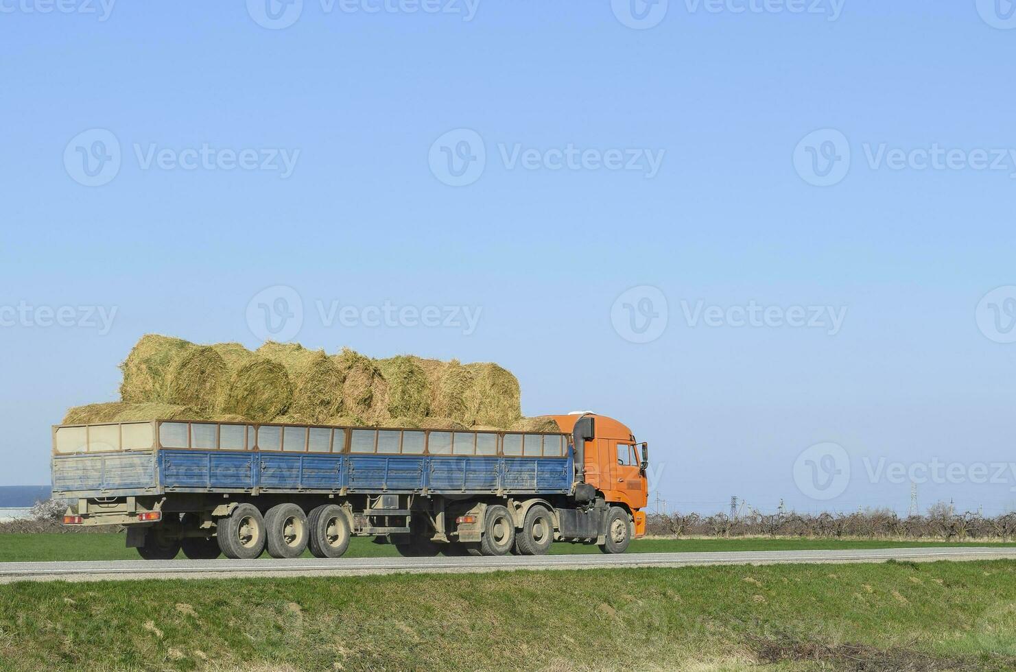 Truck carrying hay in his body. Making hay for the winter. photo