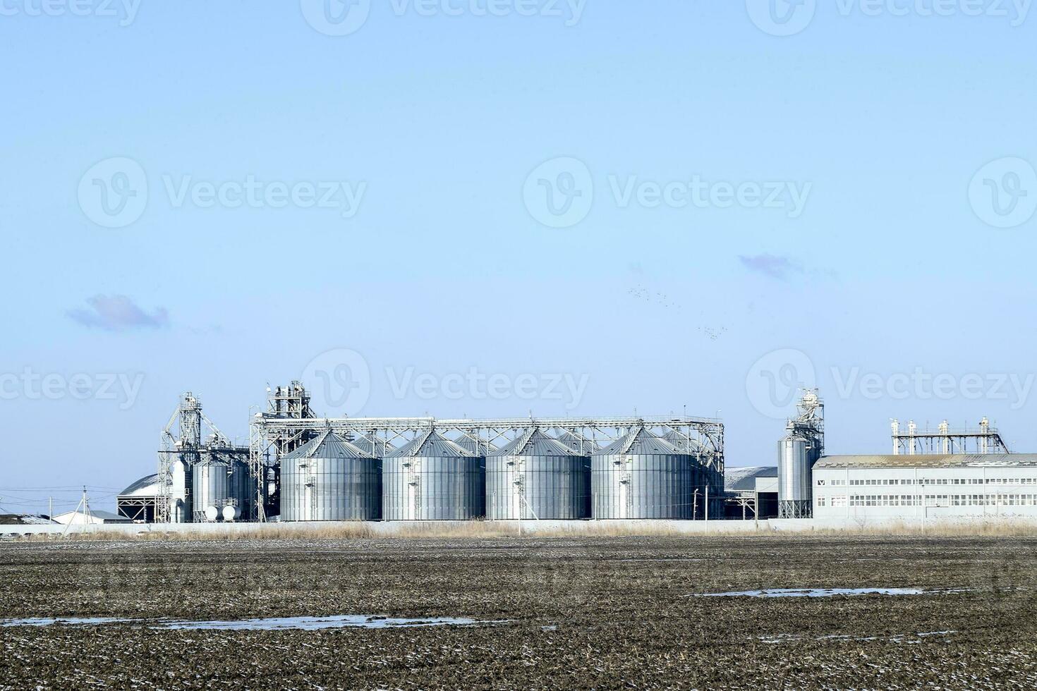 Plant for the drying and storage of grain photo