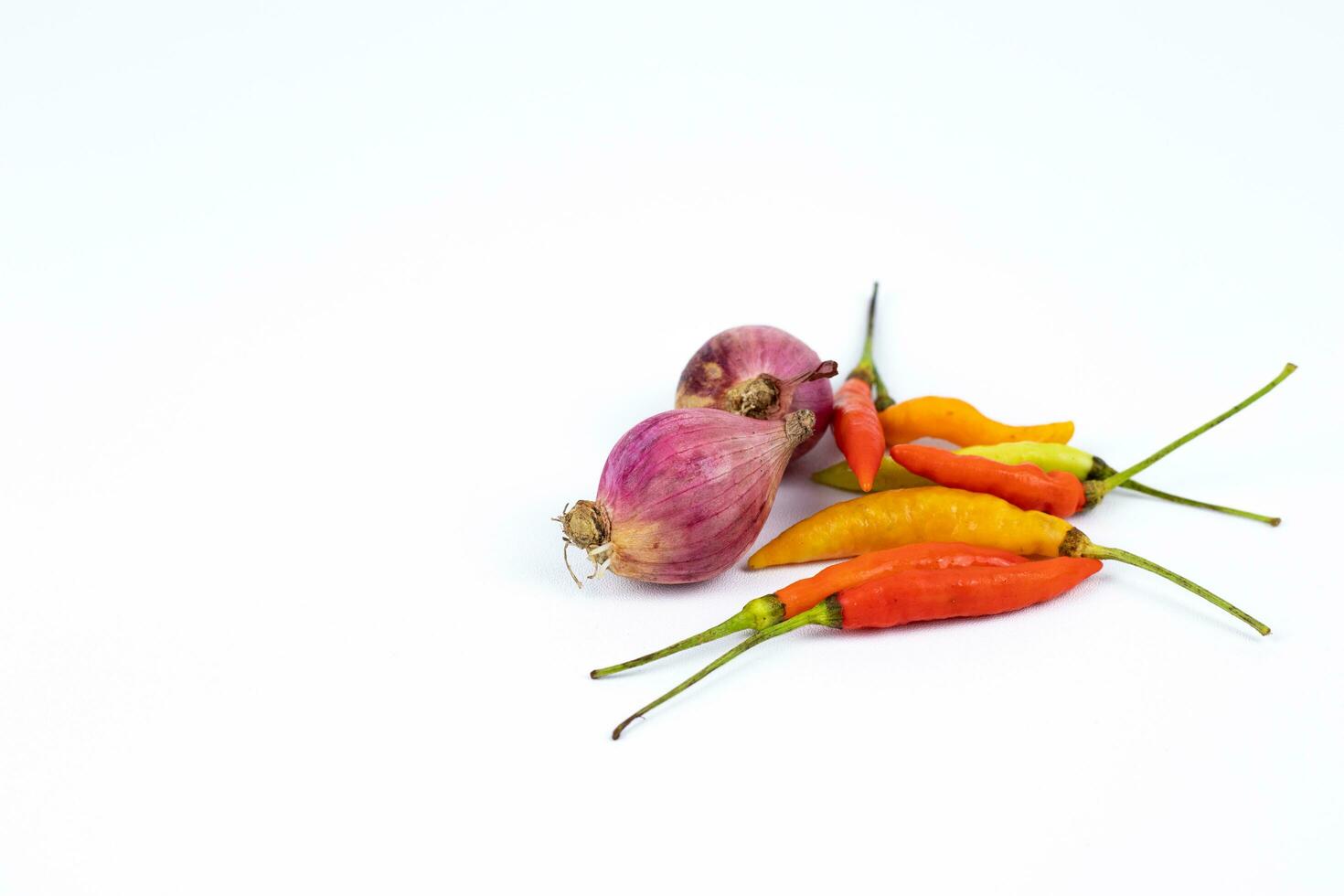 chili,curly chili, Onion garlic, and shallots isolated on a white background photo