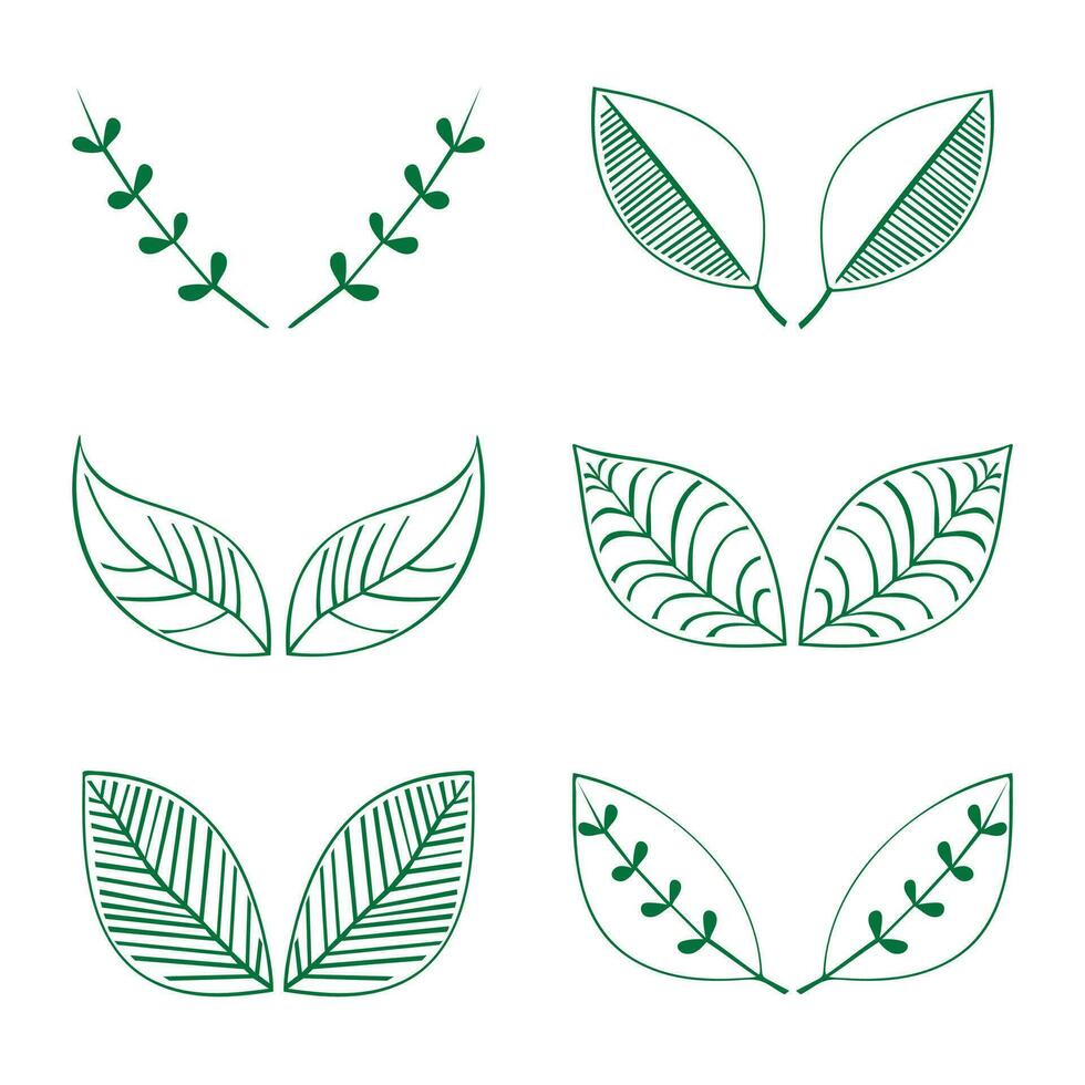 Tropical Organic Leaves in Doodle Style thin line icon set collection. vector