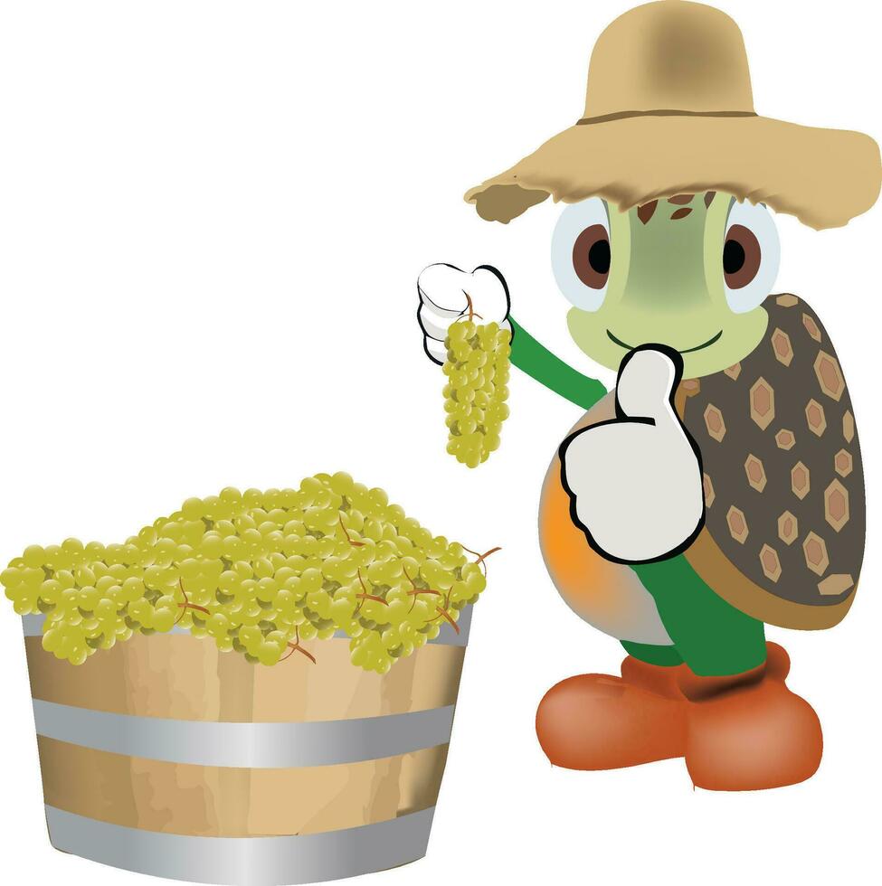cartoon turtle with grape harvest vector