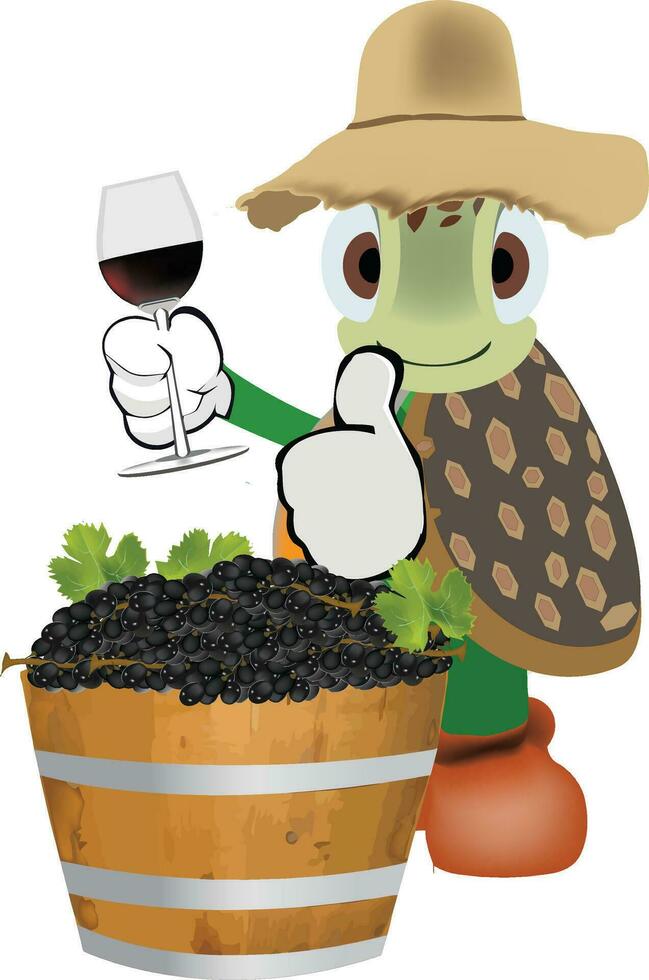 cartoon turtle with grape harvest vector