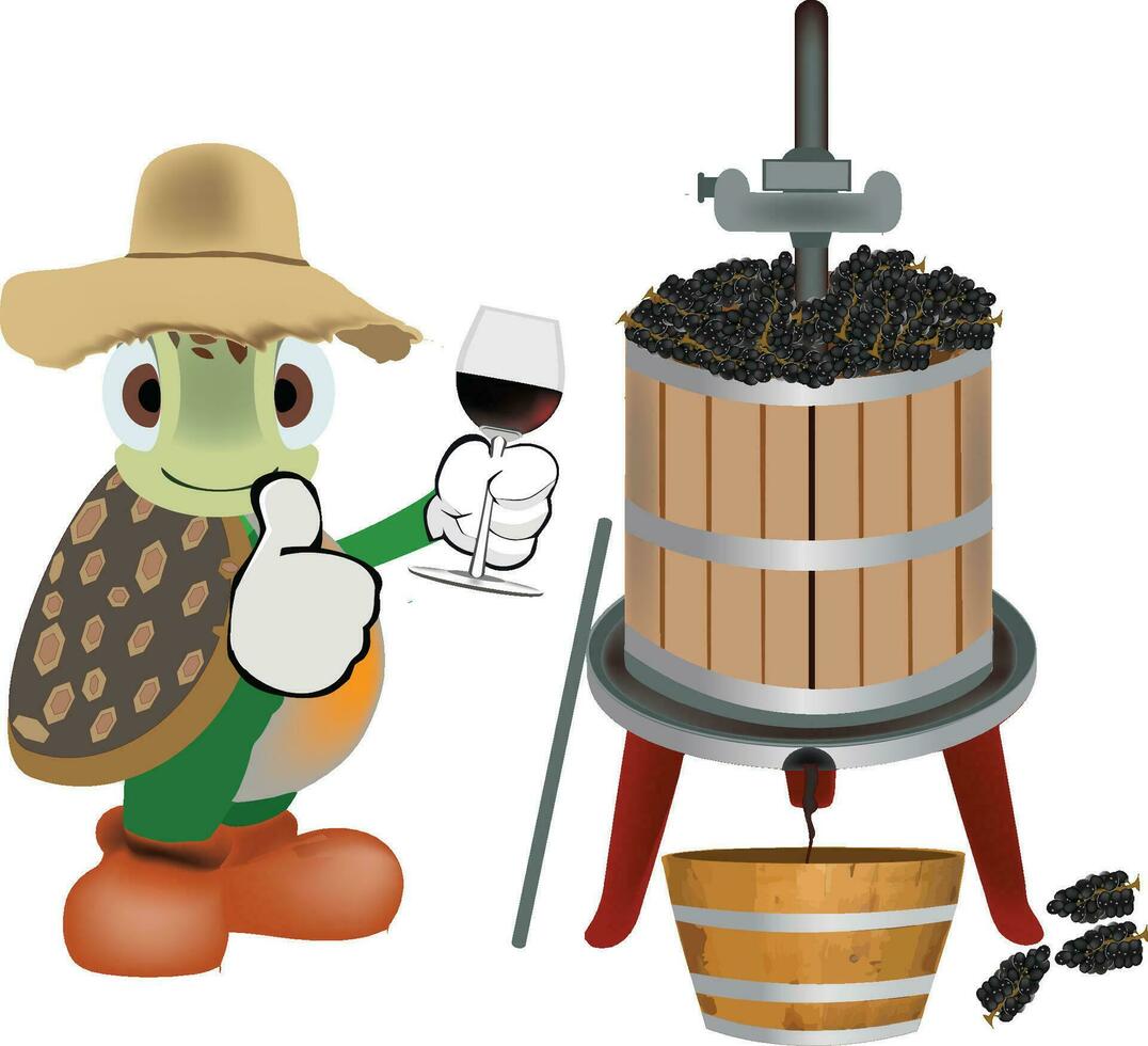 cartoon turtle with grape harvest vector