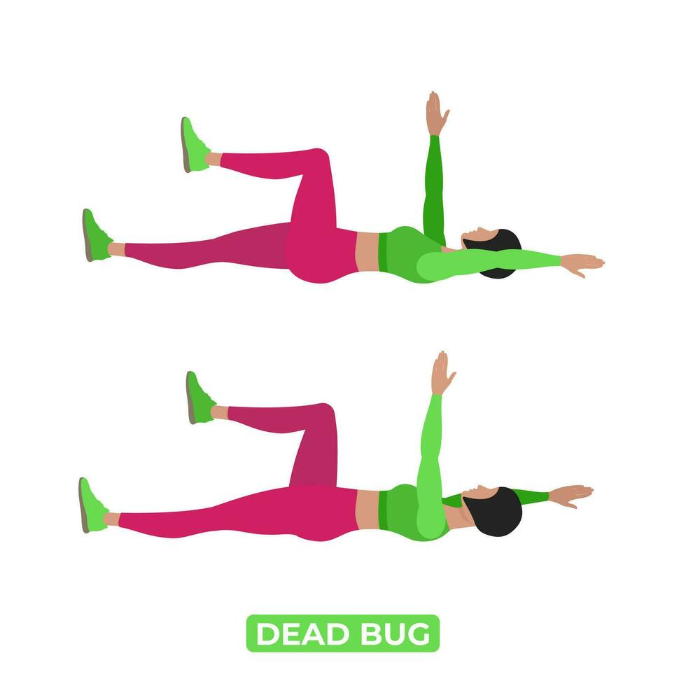 Vector Woman Doing Dead Bug. Bodyweight Fitness ABS Core Workout Exercise. An Educational Illustration On A White Background.