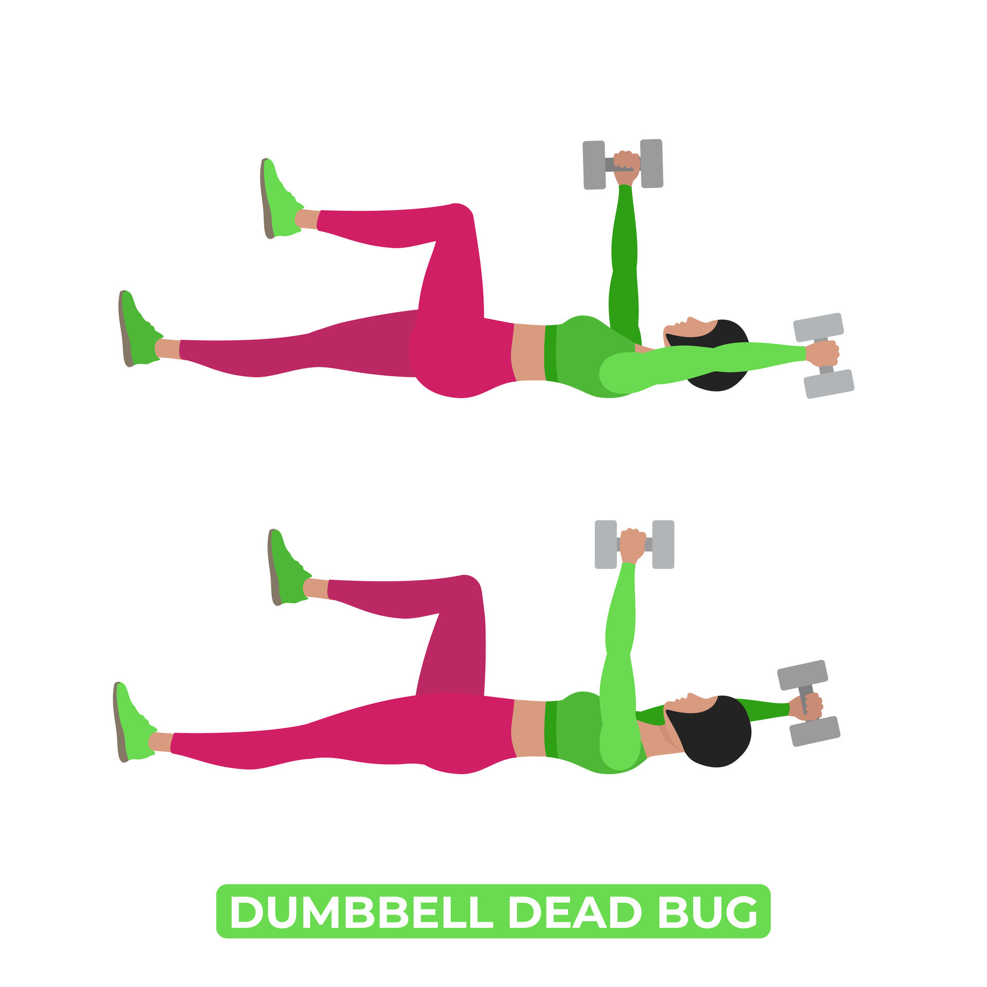 Vector Woman Doing Dumbbell Dead Bug. Bodyweight Fitness ABS Core Workout Exercise. An
