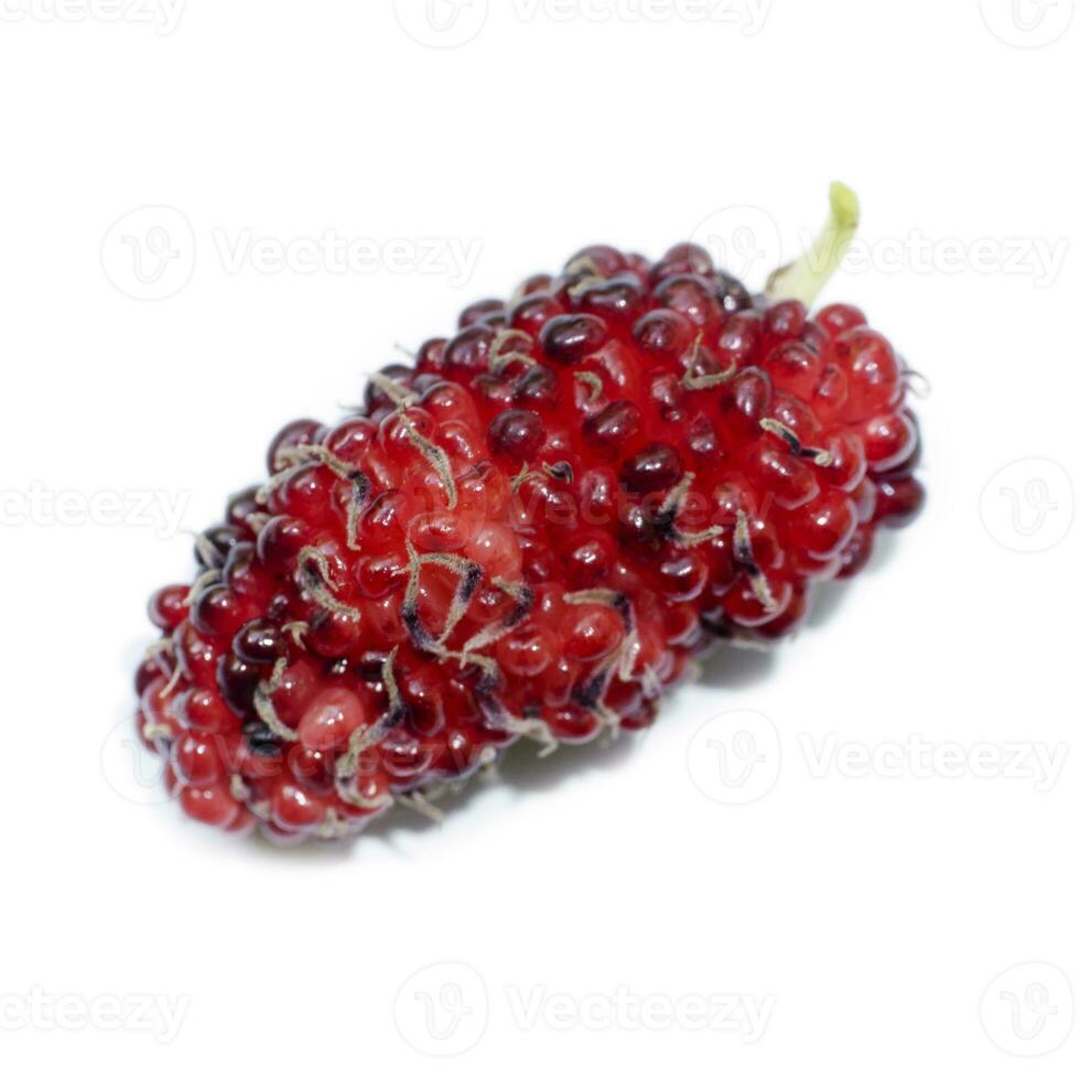 fresh organic mulberry photo