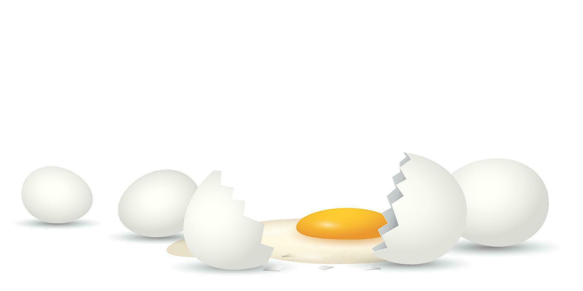 3D white eggs and half broken egg with yolk on white background vector illustration. Natural, healthy food, protein, cooking, ingredient and organic product concept template have blank space.