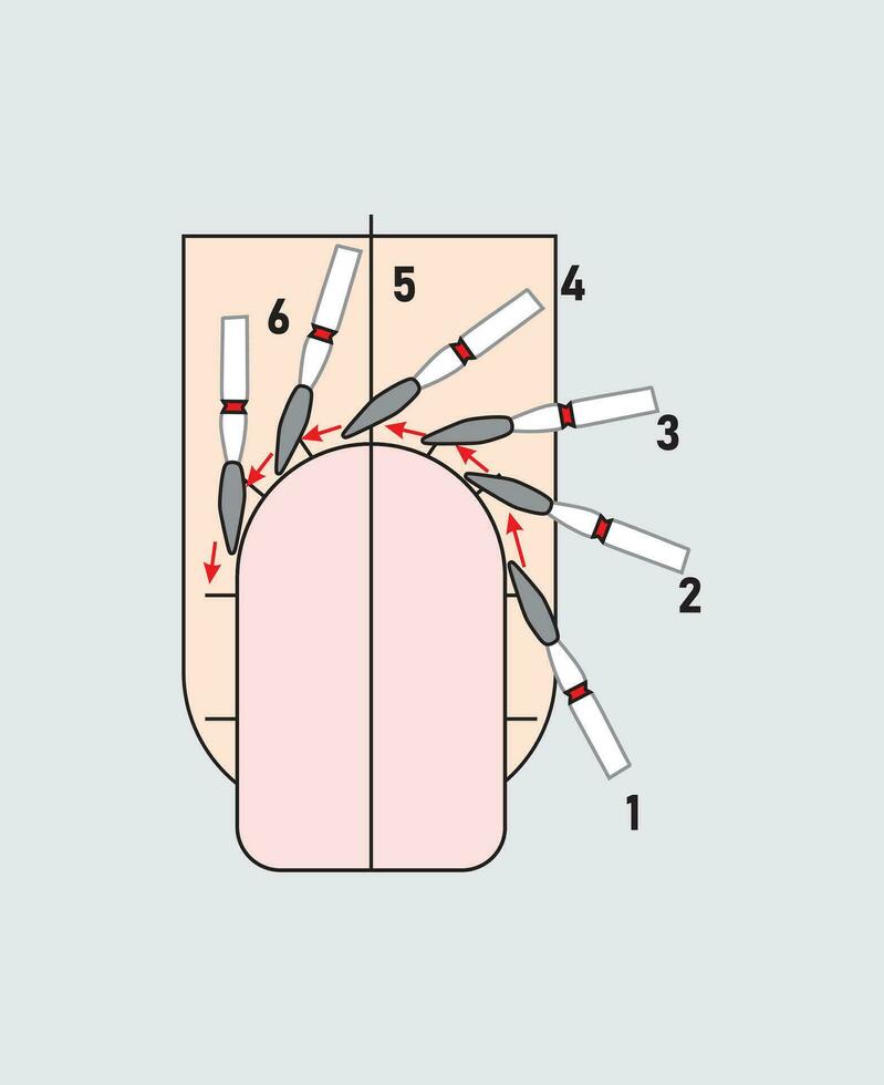 How to use a Flame Shaped Milling Cutter. Tips and Tricks. Professional Manicure Tutorial. Vector illustration