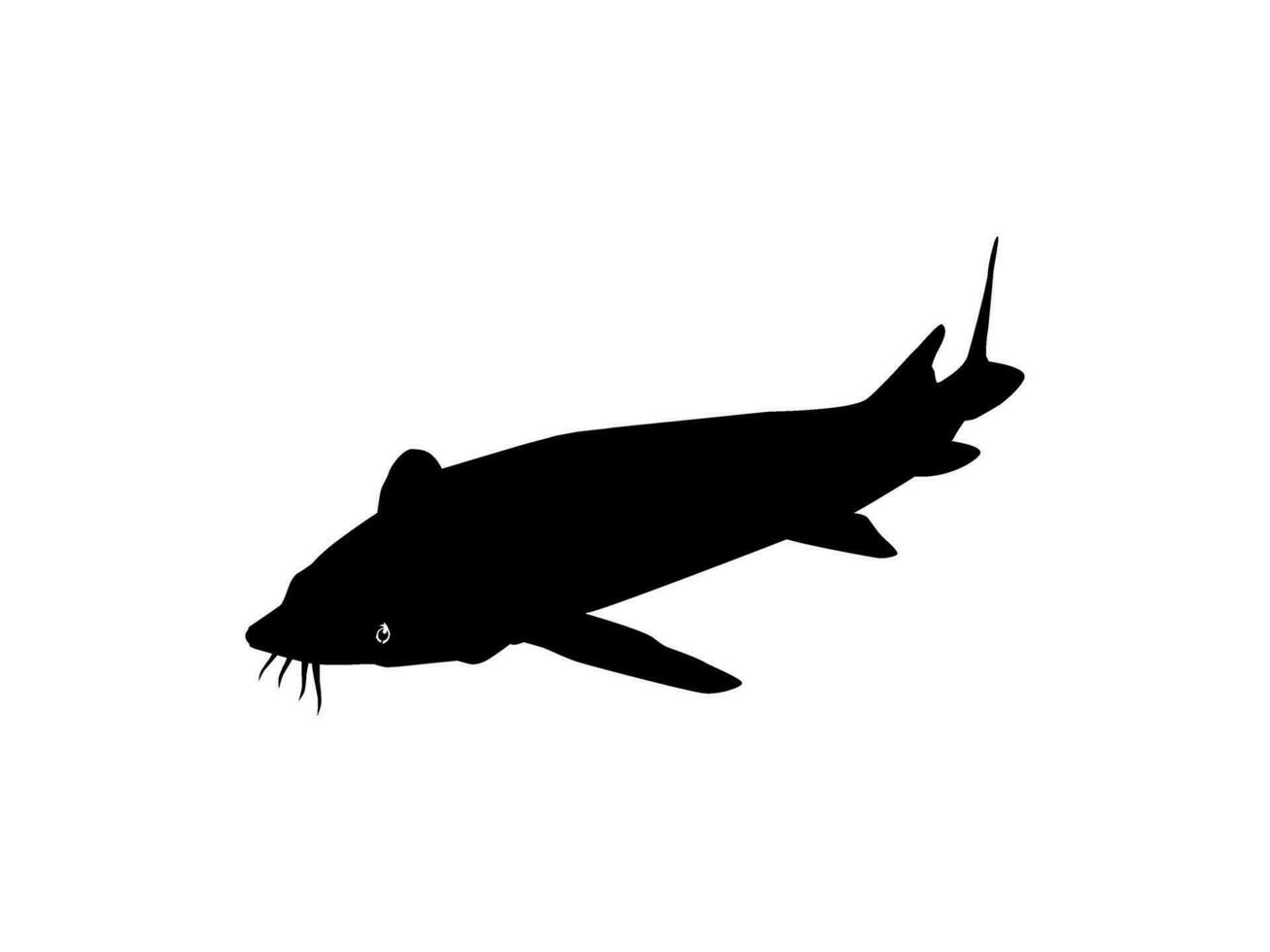 beluga esturión o huso pescado silueta, pescado cuales Produce prima y costoso caviar, para logo tipo, Arte ilustración, pictograma, aplicaciones, sitio web o gráfico diseño elemento. vector ilustración