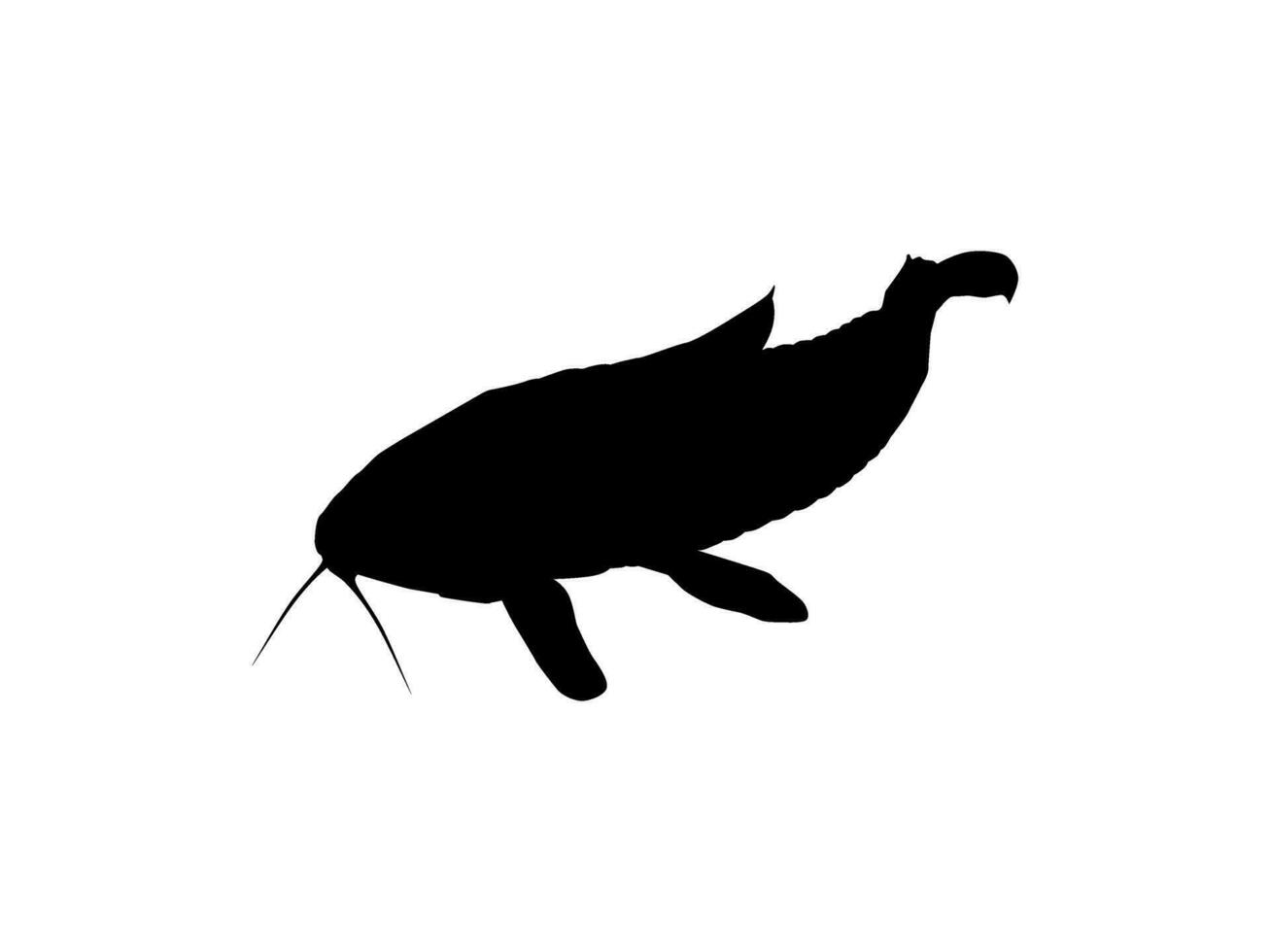 Silhouette of the The Kwi Kwi or Hoplosternum littorale is a species of Armoured Catfish from the Callichthyidae family. Vector Illustration