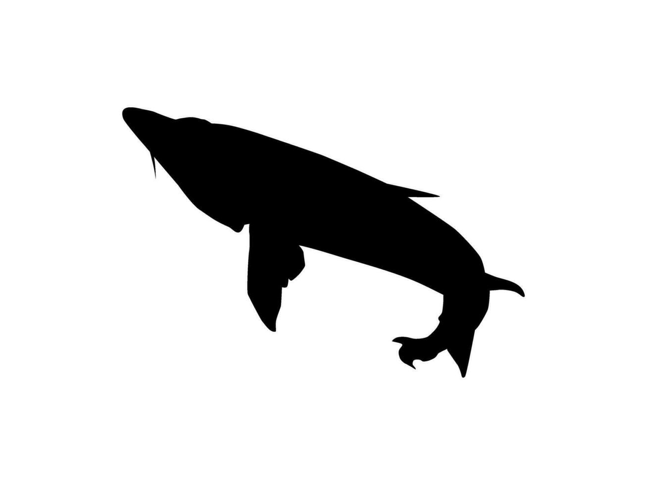 Beluga Sturgeon or Huso Fish Silhouette, Fish Which Produce Premium and Expensive Caviar, For Logo Type, Art Illustration, Pictogram, Apps, Website or Graphic Design Element. Vector Illustration