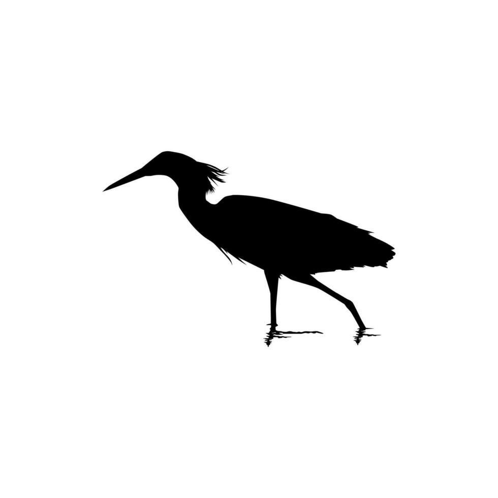 The Black Heron Bird, Egretta Ardesiaca, also known as the Black Egret Silhouette for Art Illustration, Logo, Pictogram, Website, or Graphic Design Element. Vector Illustration