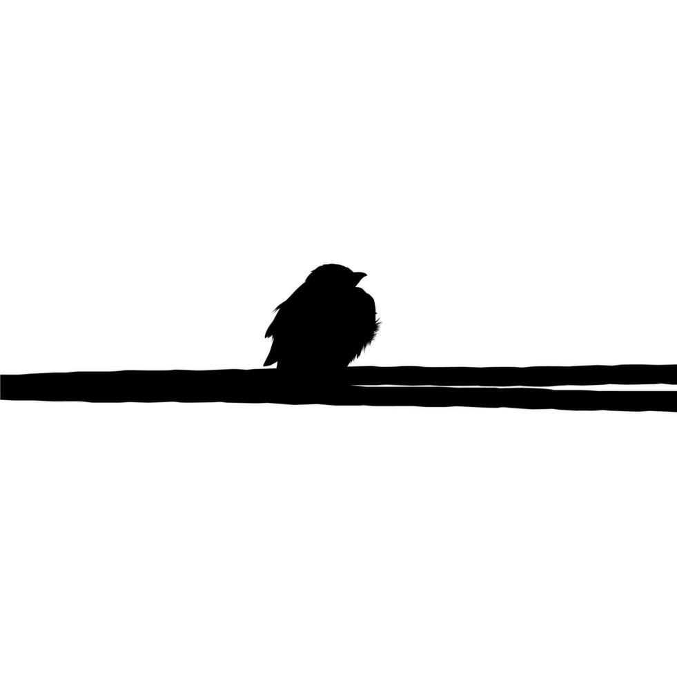 Silhouette of the Bird Perched on the Electrical Wire Base on my Photography. Vector Illustration