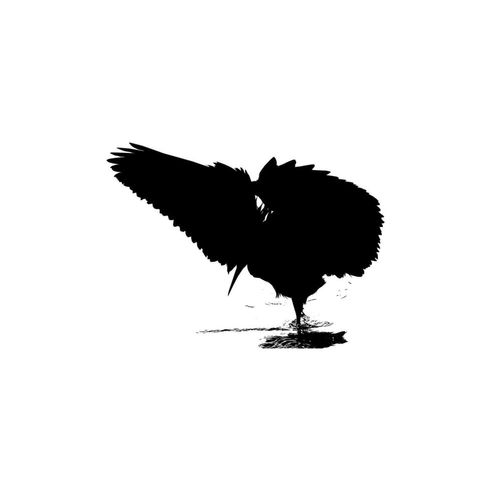 The Black Heron Bird, Egretta Ardesiaca, also known as the Black Egret Silhouette for Art Illustration, Logo, Pictogram, Website, or Graphic Design Element. Vector Illustration