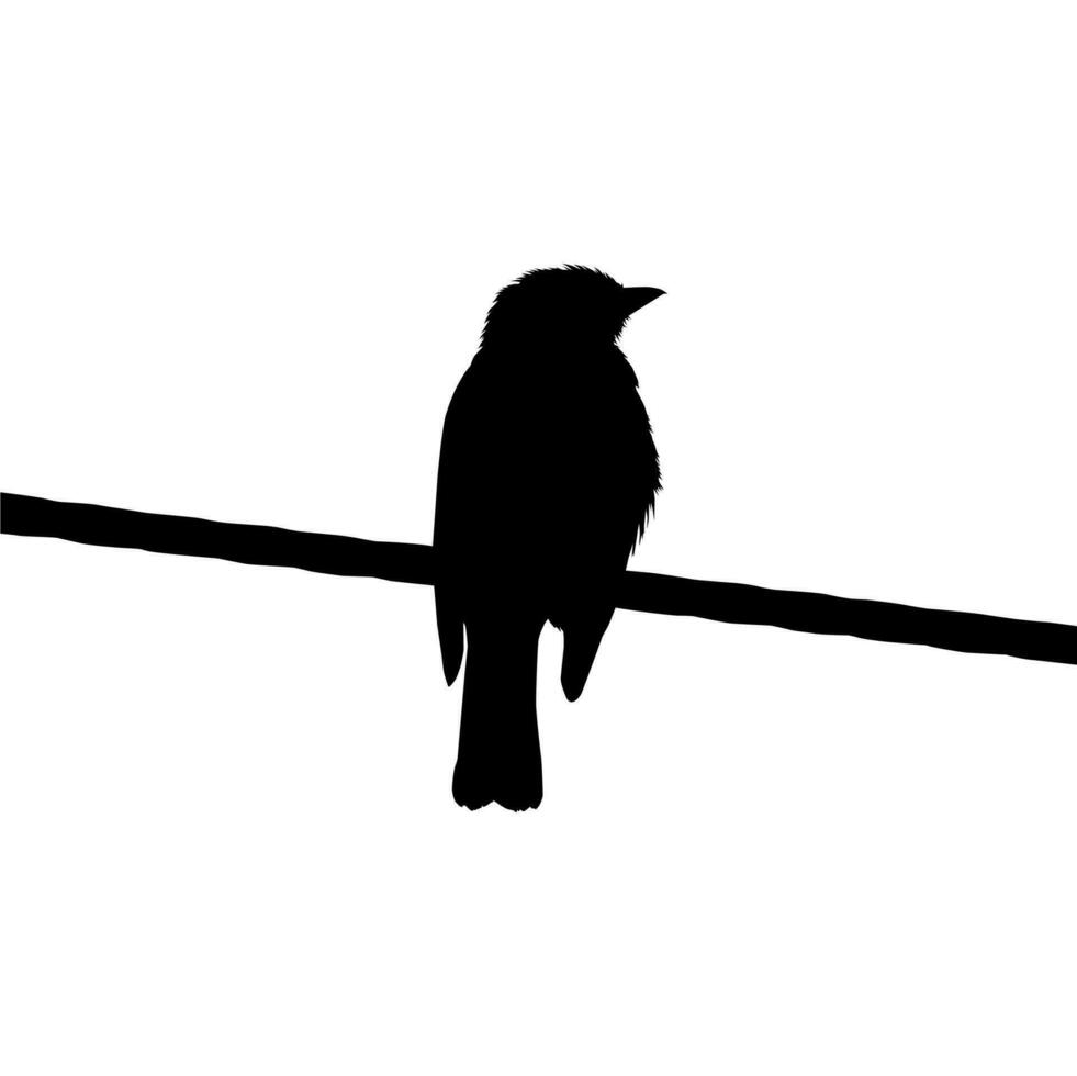 silueta de el pájaro encaramado en el eléctrico cable base en mi fotografía. vector ilustración