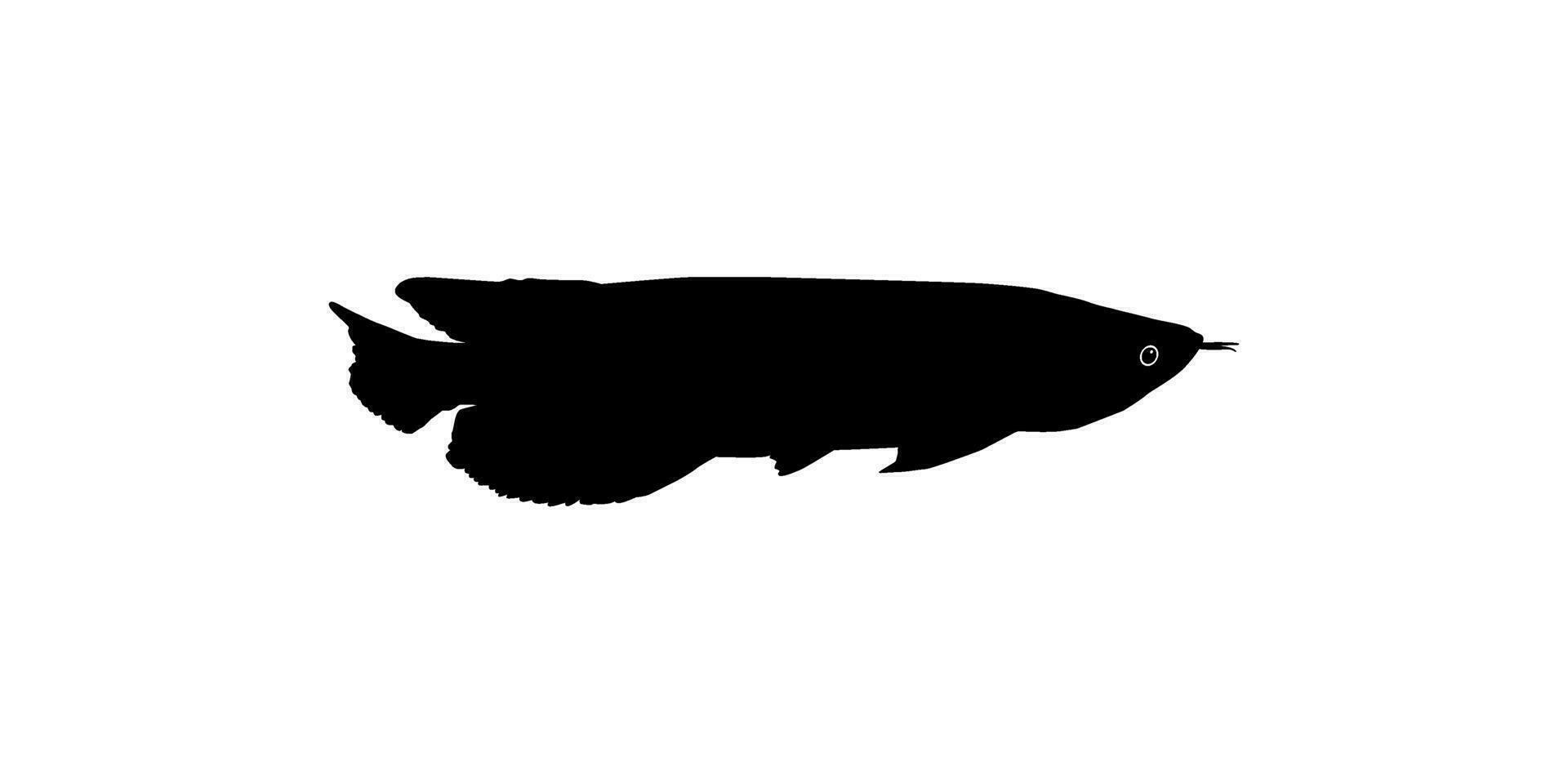 Silhouette of the Arowana or Arwana also known as Dragon Fish, for Art Illustration, Logo Type, Pictogram, Website or Graphic Design Element. Vector Illustration