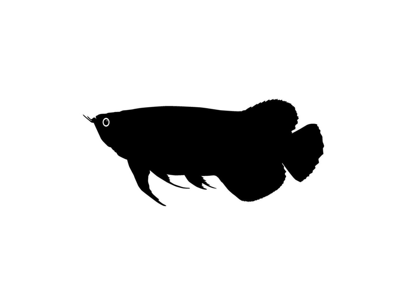 Silhouette of the Arowana or Arwana also known as Dragon Fish, for Art Illustration, Logo Type, Pictogram, Website or Graphic Design Element. Vector Illustration