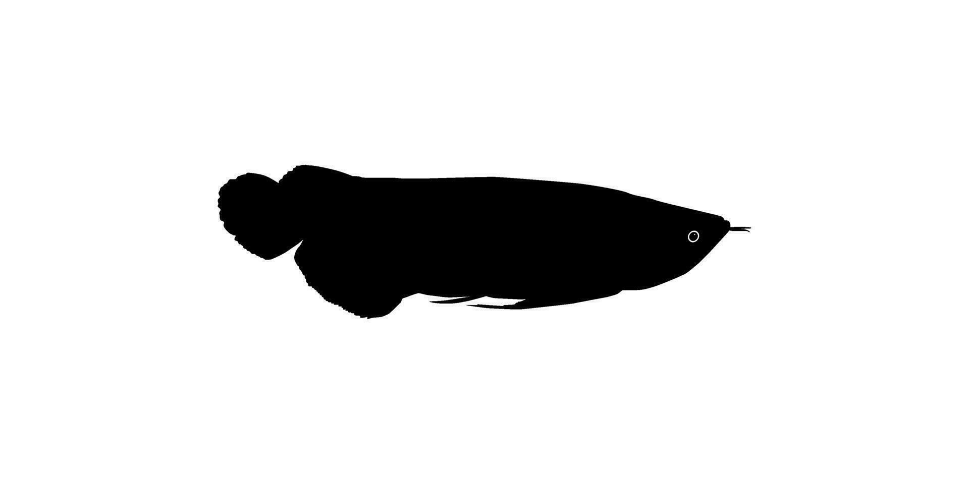 Silhouette of the Arowana or Arwana also known as Dragon Fish, for Art Illustration, Logo Type, Pictogram, Website or Graphic Design Element. Vector Illustration