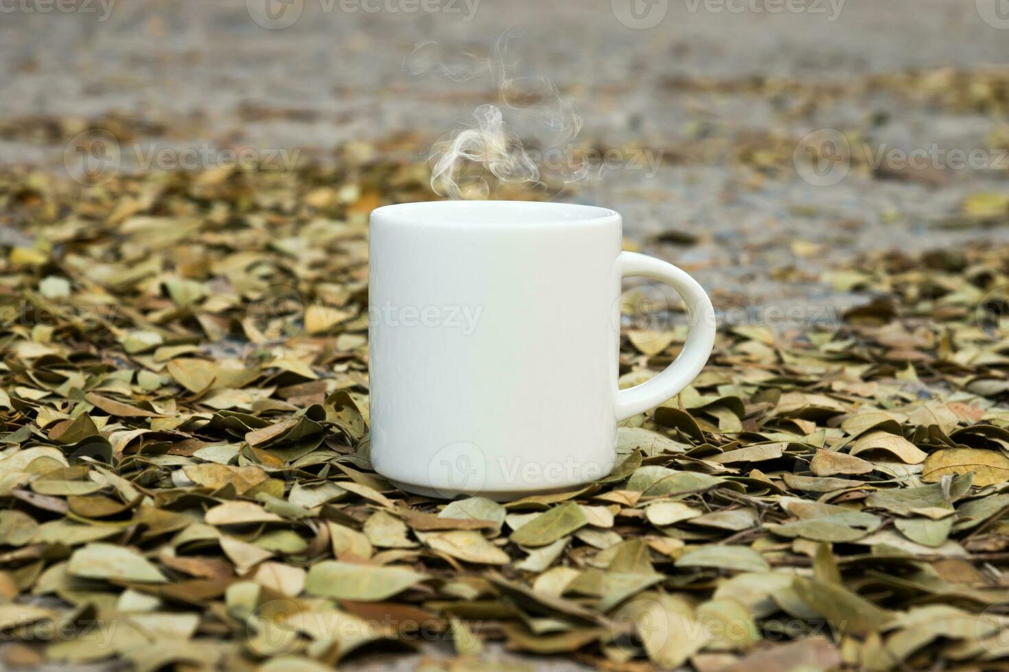 White coffee cup on the ground with dry leaves of the rain tree. photo