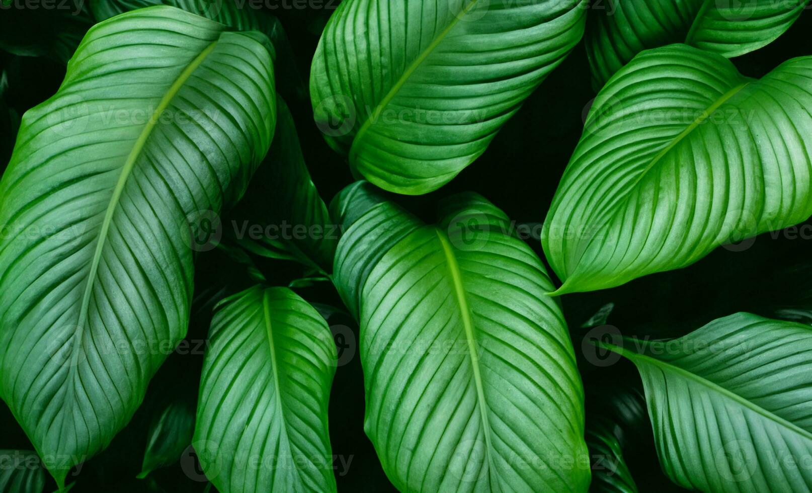 AI generated a close up of a large green leaf photo