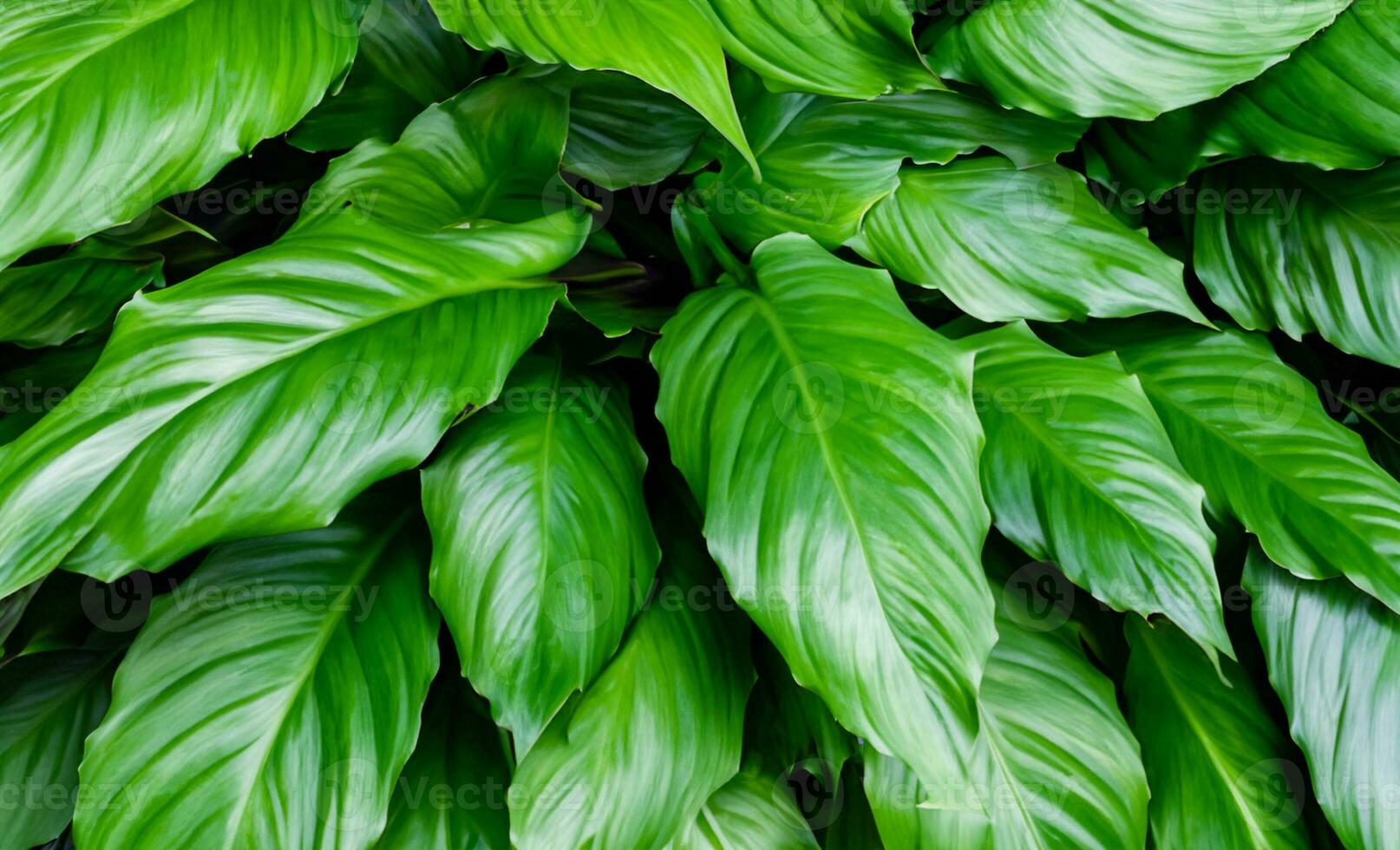 AI generated a close up of a large green leaf photo