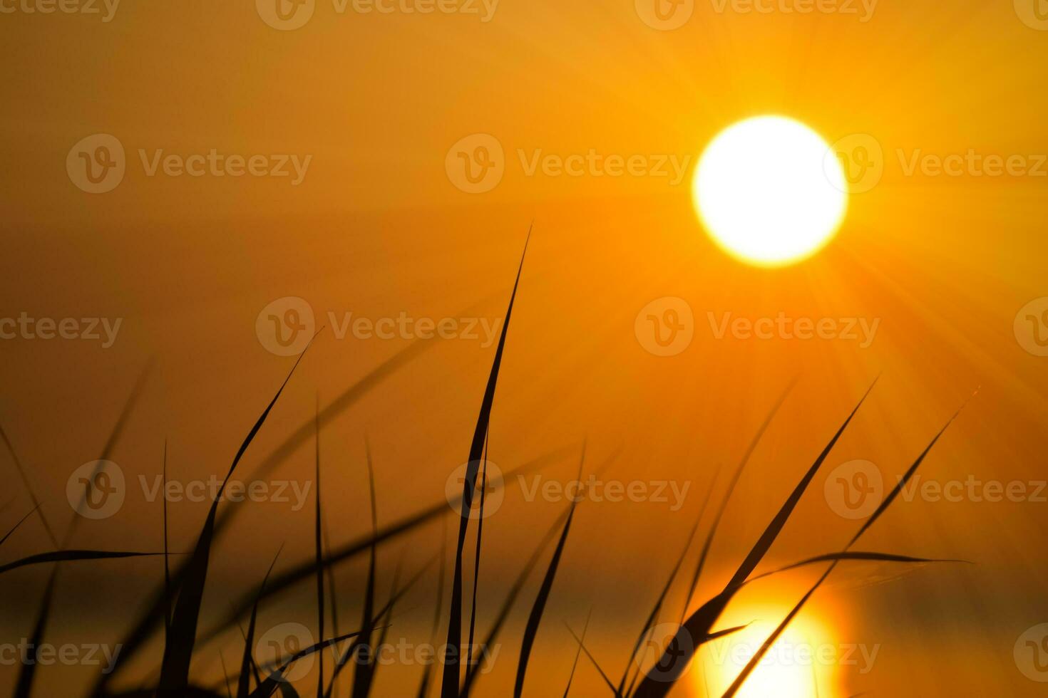 Sunset sky on the lake in south of Thailand., un-focus image. photo