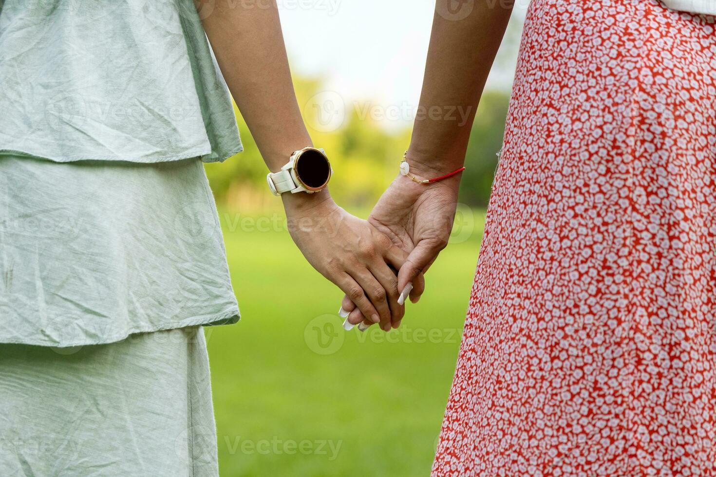 diversidad de lgbtq lesbiana Pareja es relajantemente participación su mano mientras caminando juntos en público parque durante verano temporada a disfrutar el ocio hora para viniendo fuera de el armario y inclusión foto