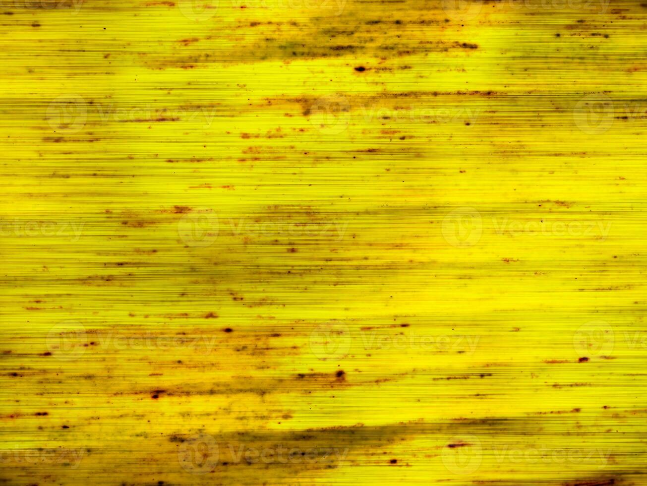 Yellow banana leaf background abstract photo