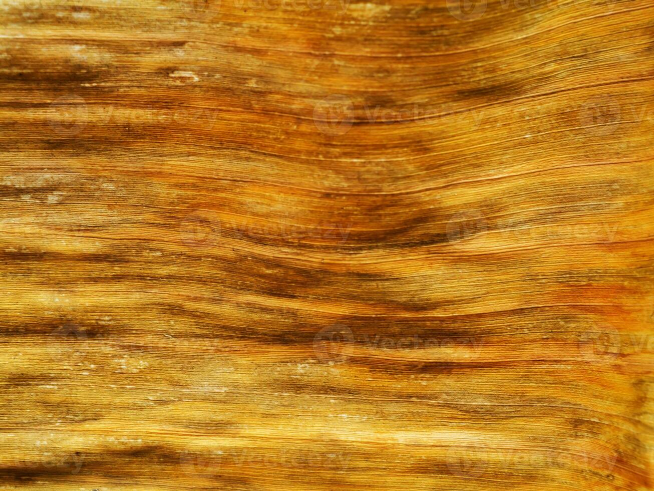 Dry banana leaf background abstract photo