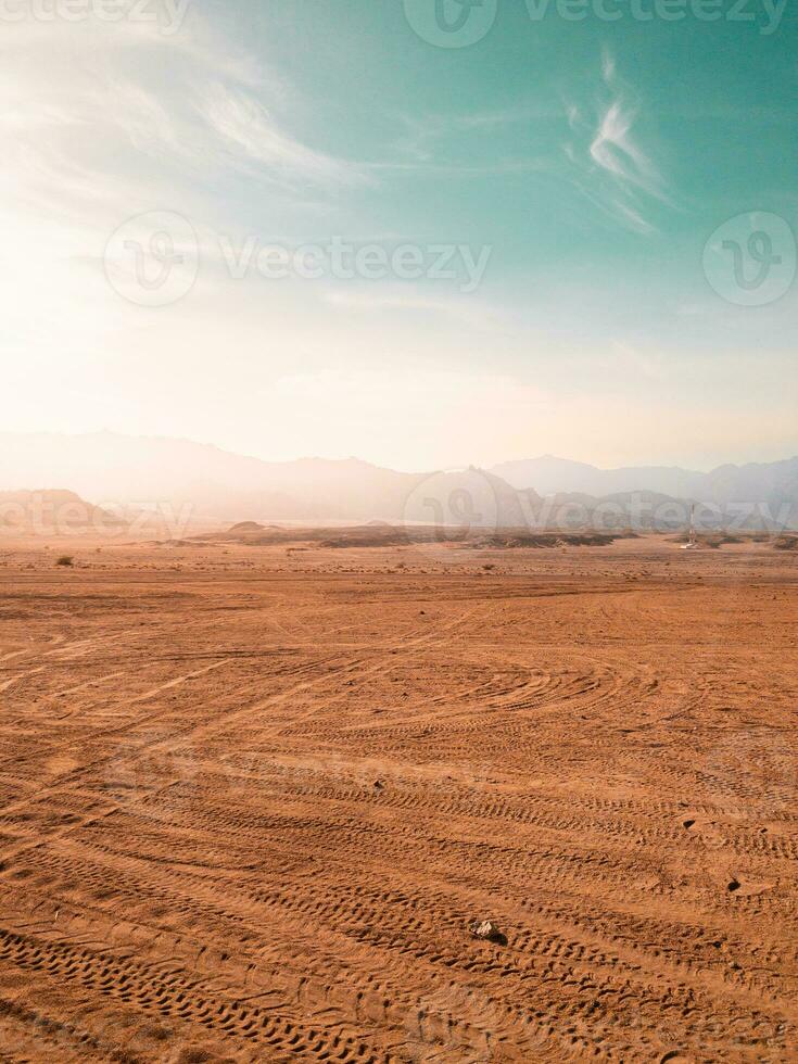 Desert on bright day in beatiful light and vibrant setting photo