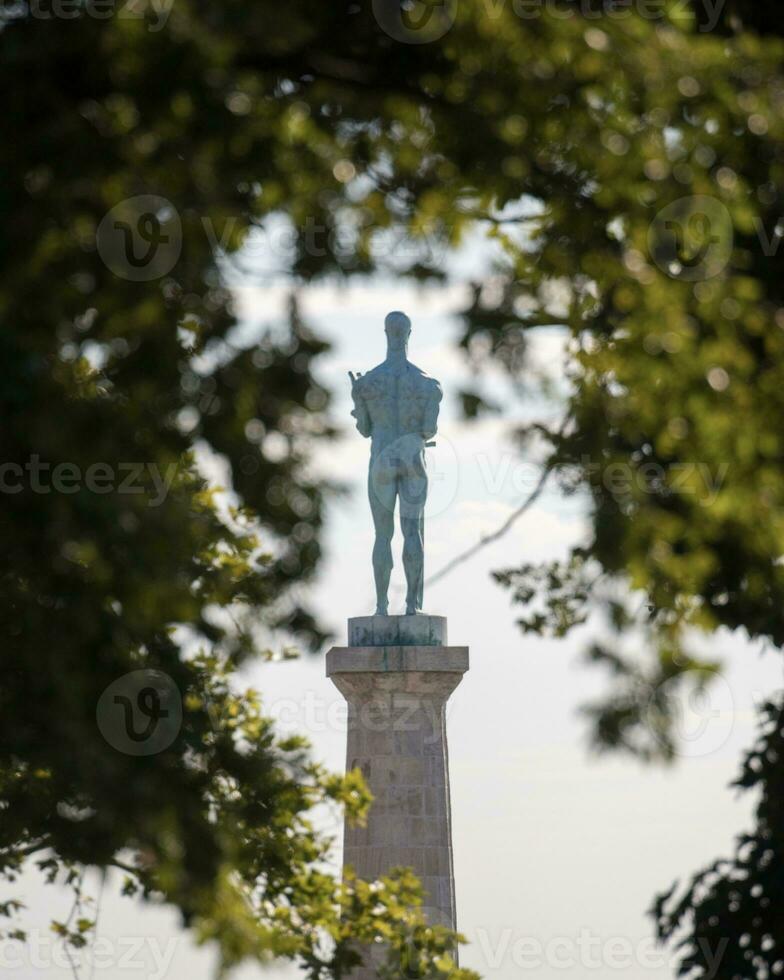 The victor monument photographed through trees perfectly from behind photo