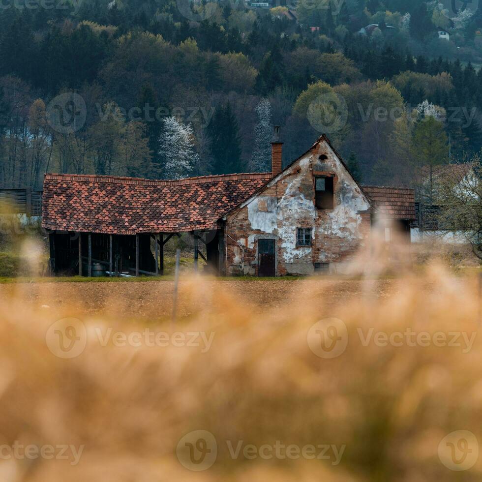 Old abandoned austrian farm house shot with foreground bokeh photo