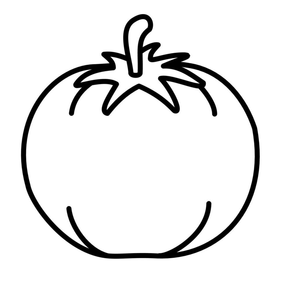 Whole tomato outline illustration for children colouring book. Ready to print. vector