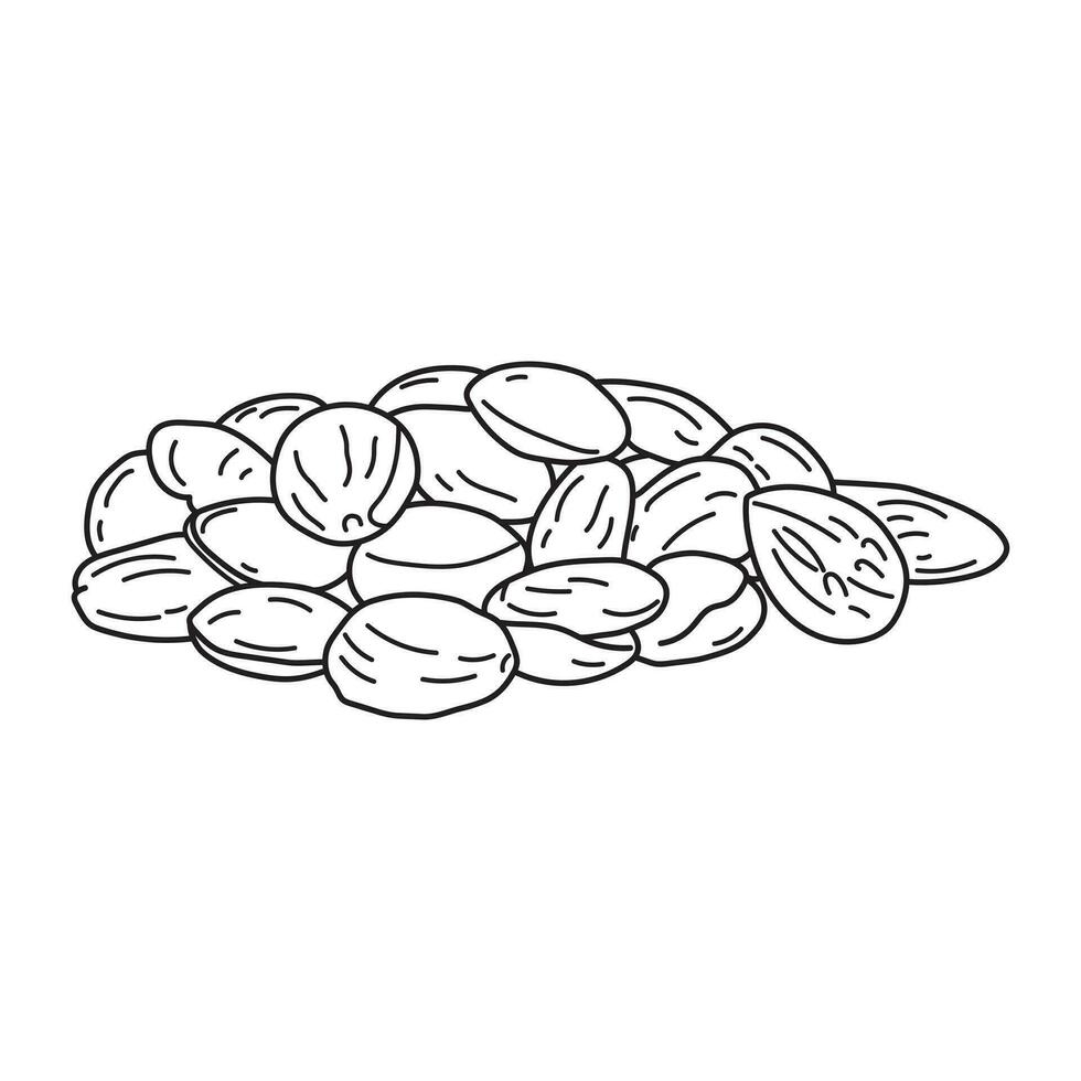 Hand drawn Kids drawing vector Illustration marcona almonds in a cartoon style Isolated on White Background