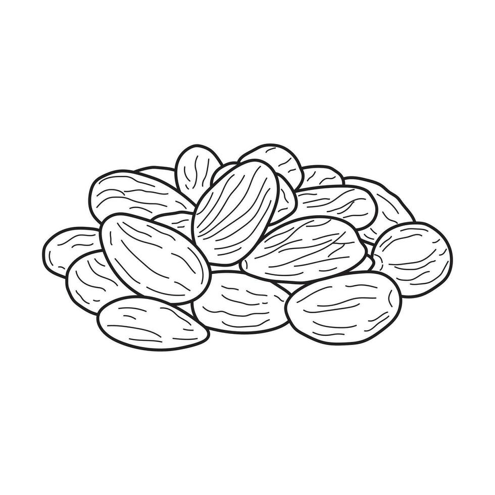 Hand drawn Kids drawing vector Illustration almonds in a cartoon style Isolated on White Background