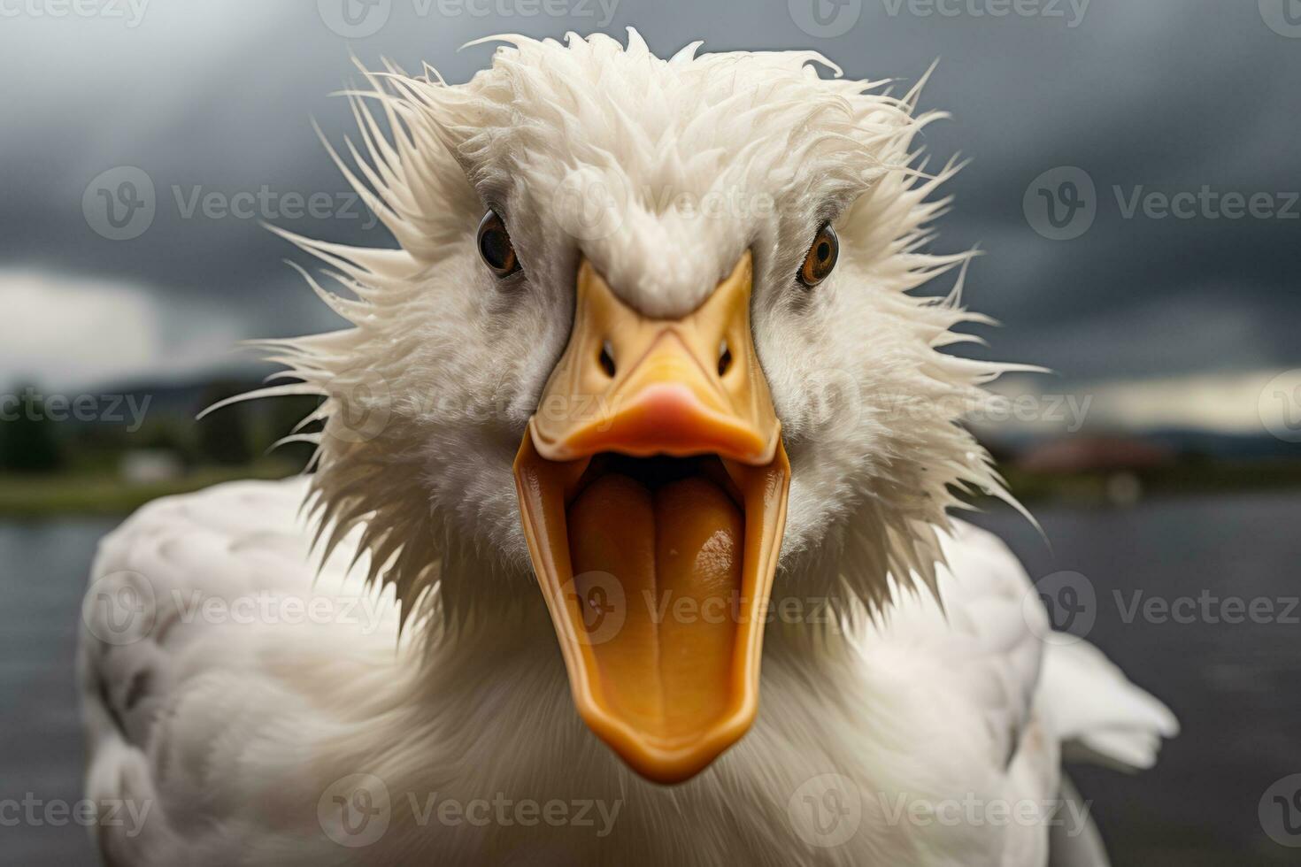 AI generated Portrait of angry duck with open beak photo