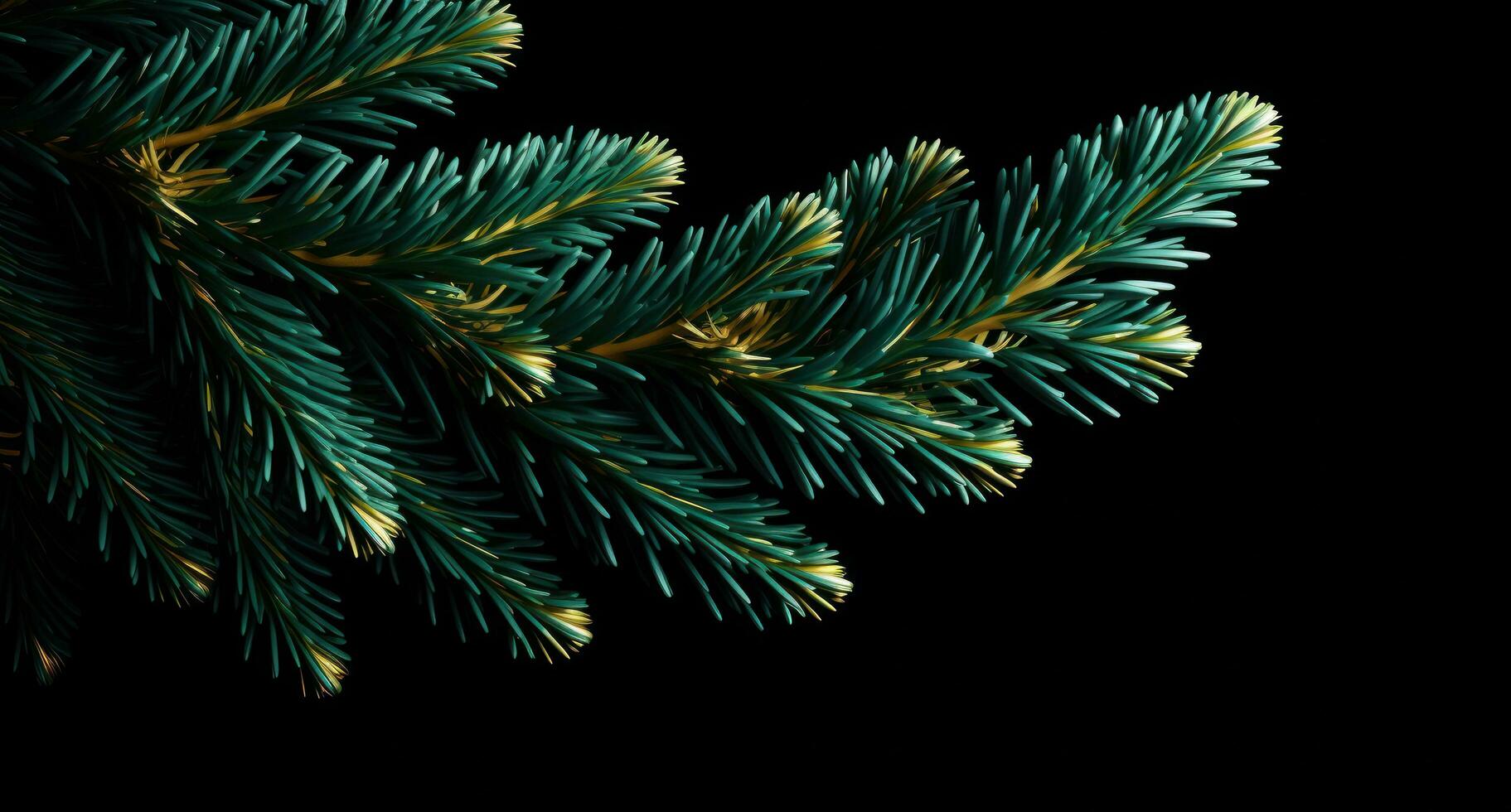 AI generated swiss fir christmas tree isolated on dark background christmas tree photo