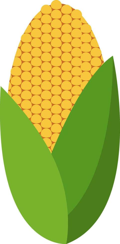 Flat corn, illustration, vector on white background