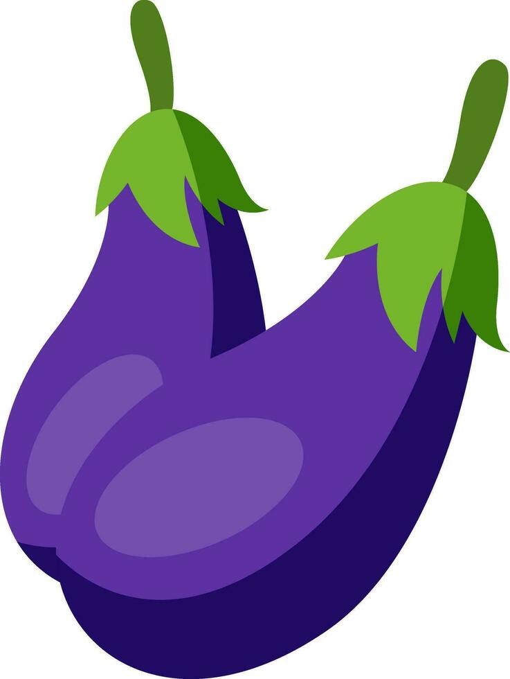 Eggplants, illustration, vector on white background