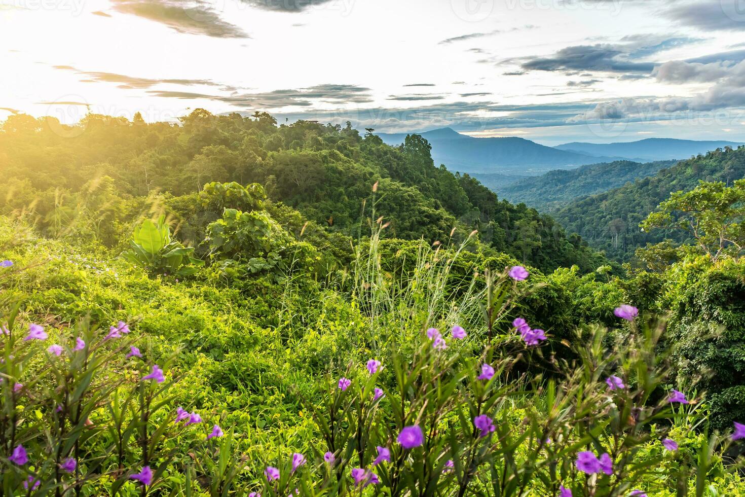 landscape of mountain beautiful countryside of Thailand photo
