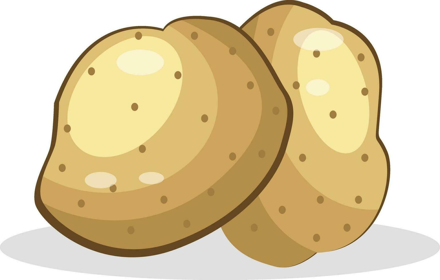 Potato vector color illustration.