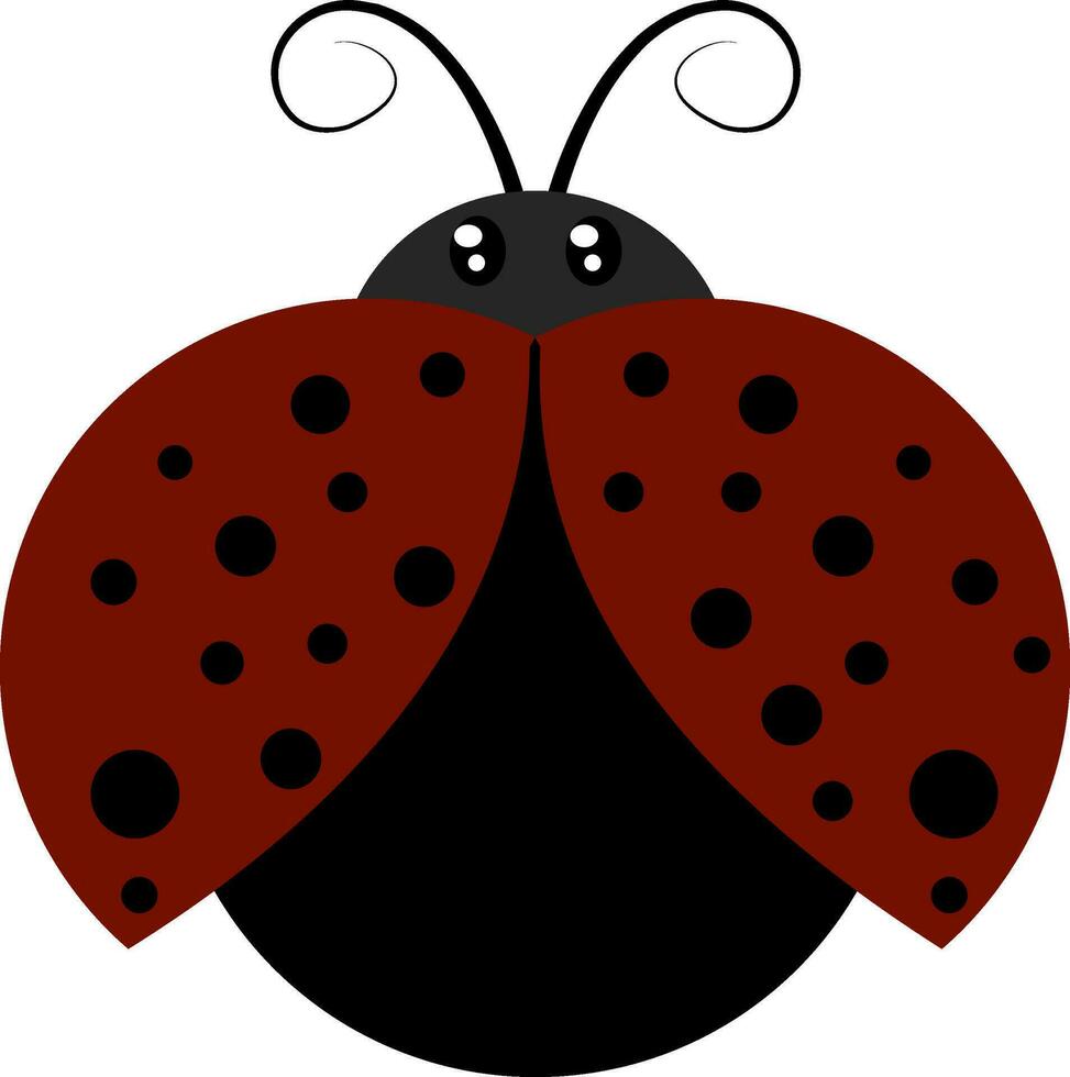 Flying ladybug, illustration, vector on white background